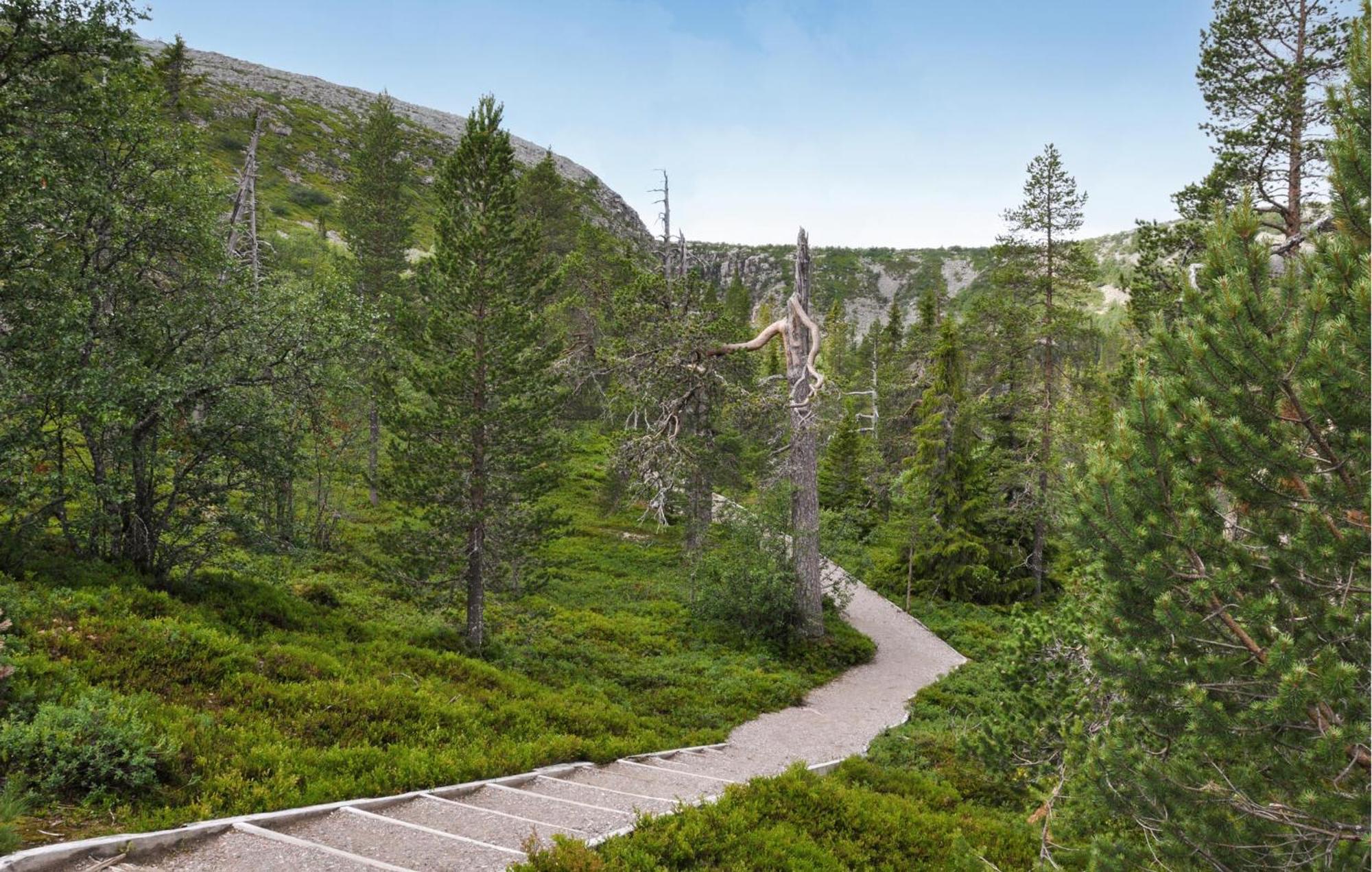 Stunning Home In Saerna With Sauna Ringbo エクステリア 写真